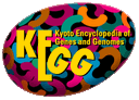KEGG Pathway