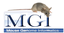 Mouse Genome informatics